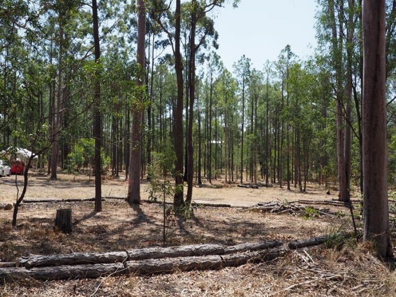 Lot 810 Arborthirty-one Road, Glenwood QLD 4570