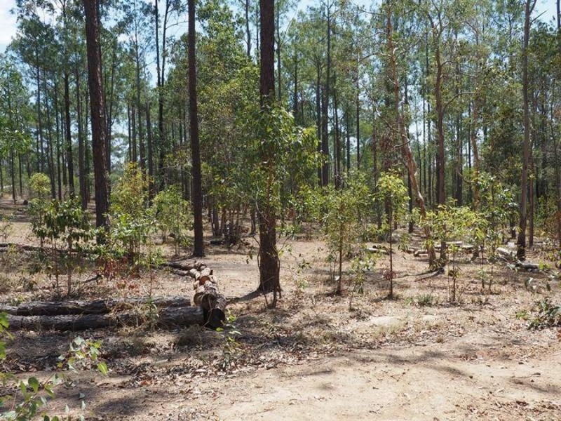 Lot 810 Arborthirty-one Road, Glenwood QLD 4570