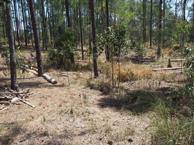 Lot 810 Arborthirty-one Road, Glenwood QLD 4570