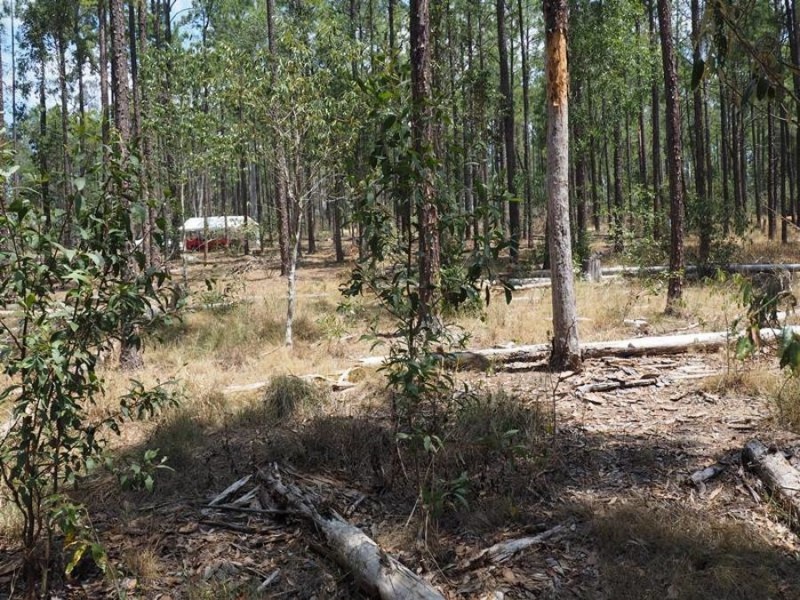 Lot 810 Arborthirty-one Road, Glenwood QLD 4570
