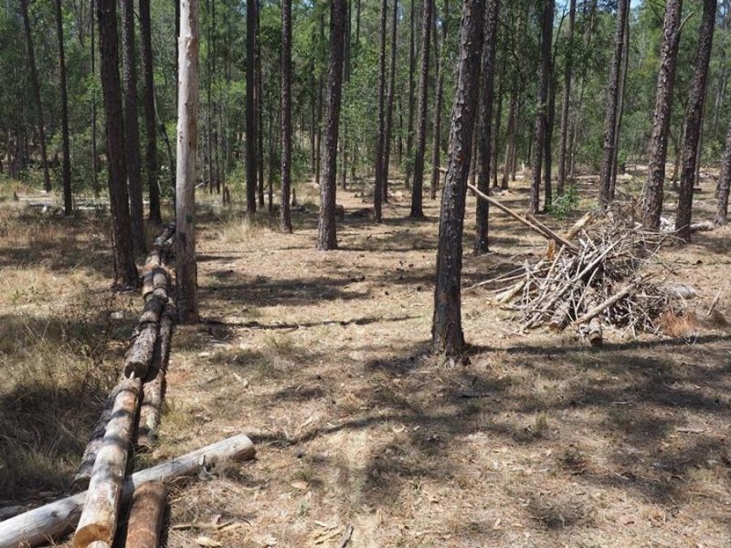 Lot 810 Arborthirty-one Road, Glenwood QLD 4570