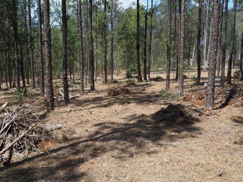 Lot 810 Arborthirty-one Road, Glenwood QLD 4570