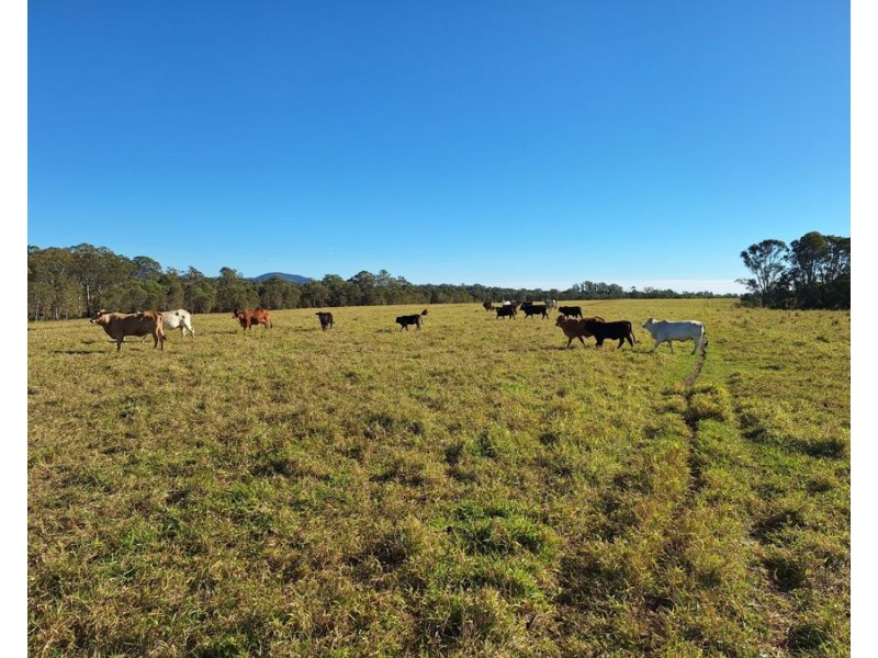 Goomboorian QLD 4570