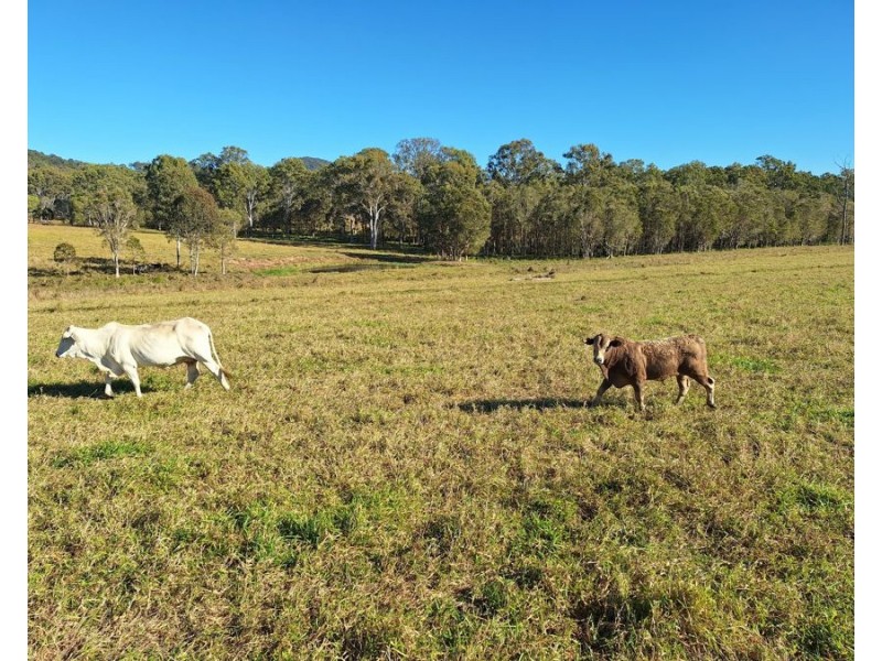 Goomboorian QLD 4570