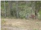 Lot 10 Lorikeet Drive, Tamaree QLD 4570