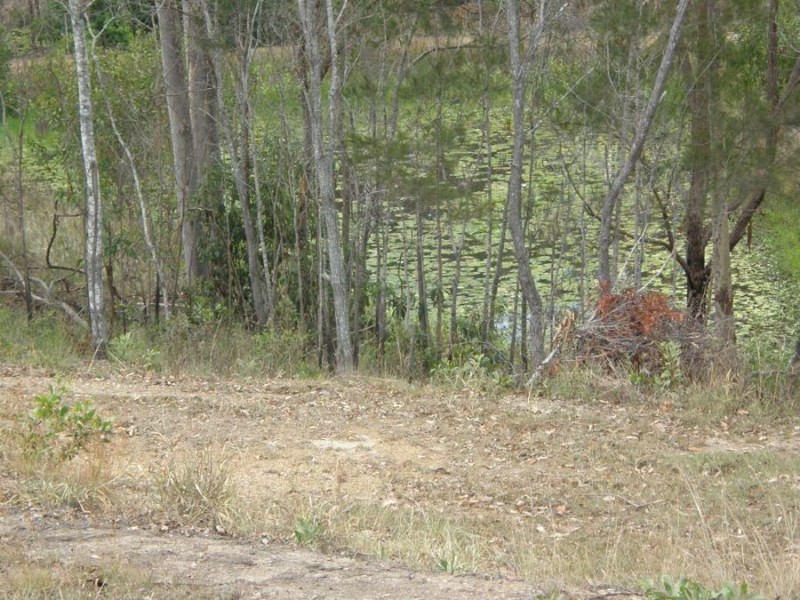 Lot 10 Lorikeet Drive, Tamaree QLD 4570