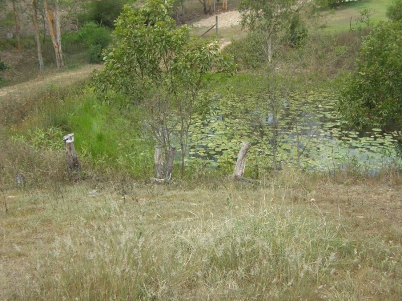 Lot 10 Lorikeet Drive, Tamaree QLD 4570