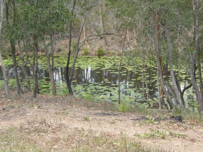 Lot 10 Lorikeet Drive, Tamaree QLD 4570