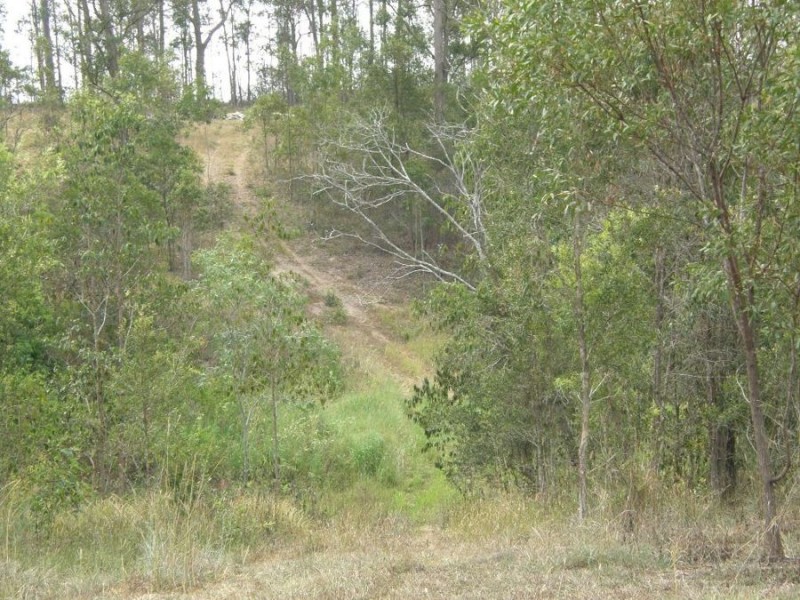 Lot 10 Lorikeet Drive, Tamaree QLD 4570