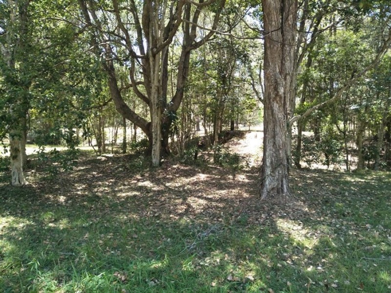 14 Guinea Court, Tamaree QLD 4570