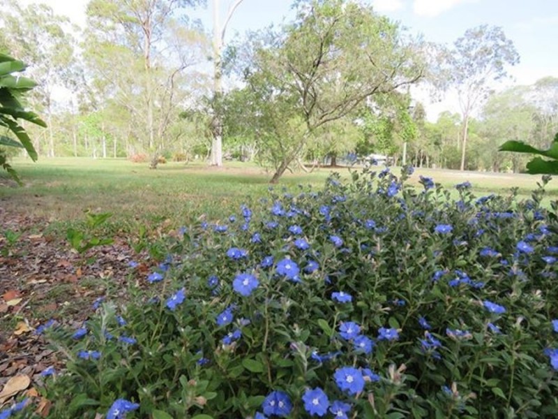 8 Lyndon Drive, Tamaree QLD 4570