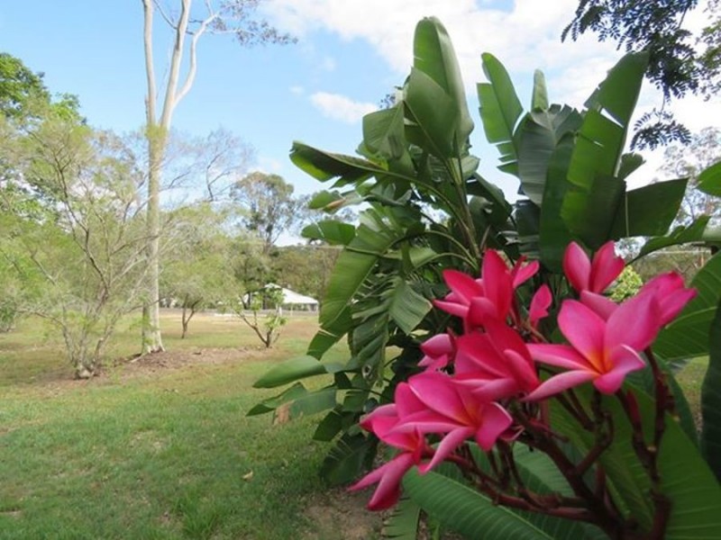 8 Lyndon Drive, Tamaree QLD 4570