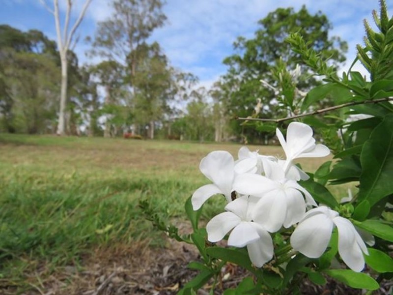 8 Lyndon Drive, Tamaree QLD 4570