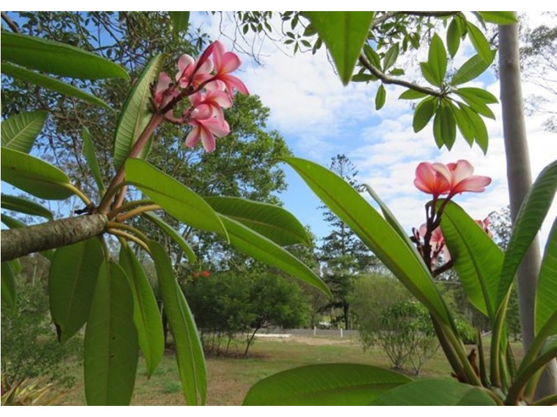 8 Lyndon Drive, Tamaree QLD 4570