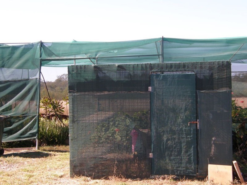 43 Burrows Street, Wondai QLD 4606