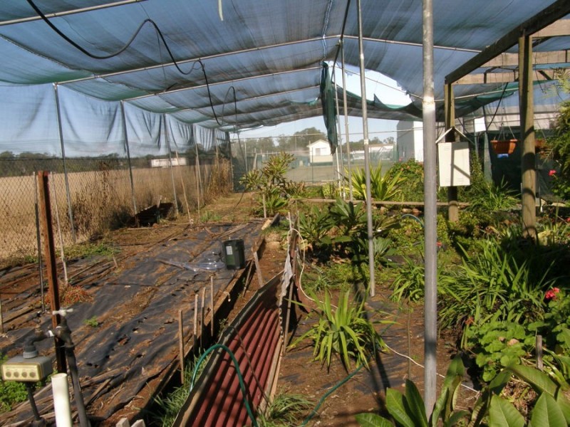 49 Burrows Street, Wondai QLD 4606