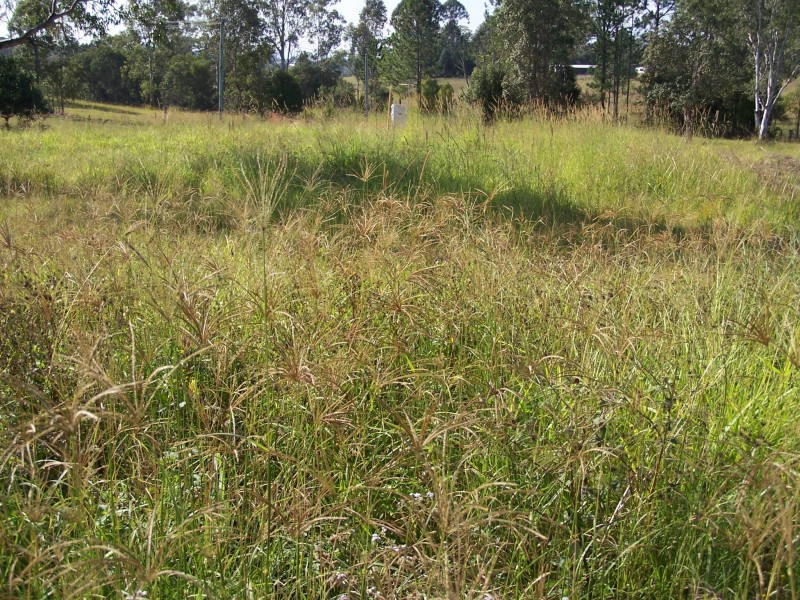 Gympie QLD 4570