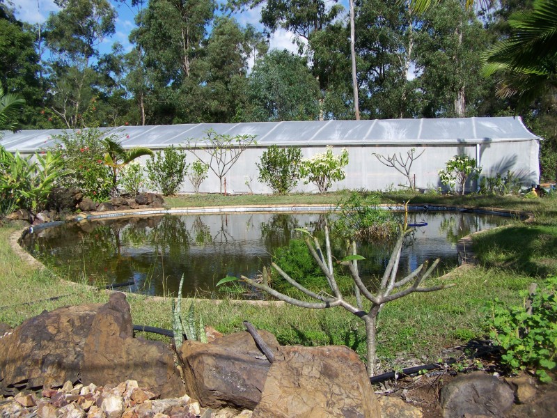 Mcintosh Creek QLD 4570