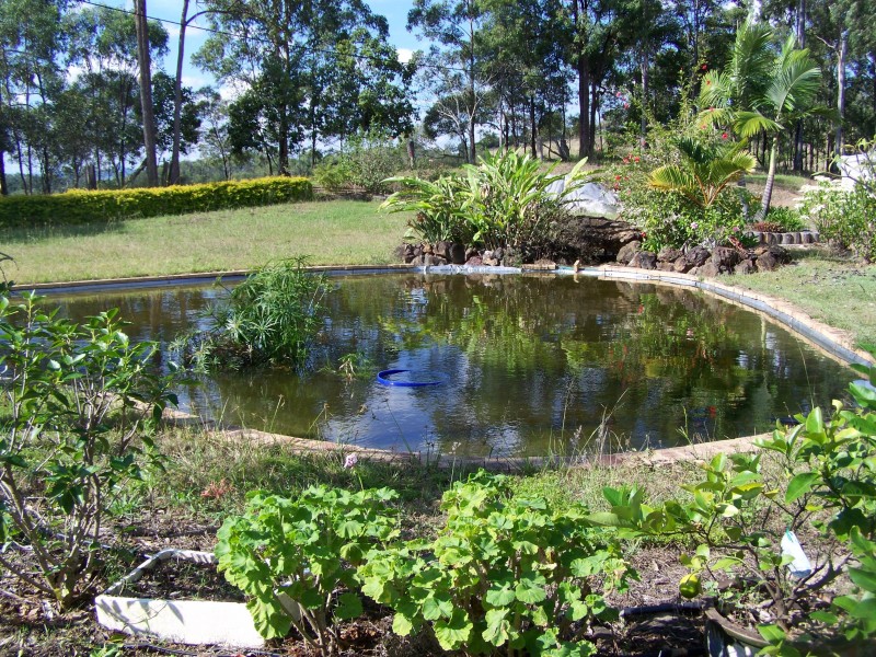 Mcintosh Creek QLD 4570