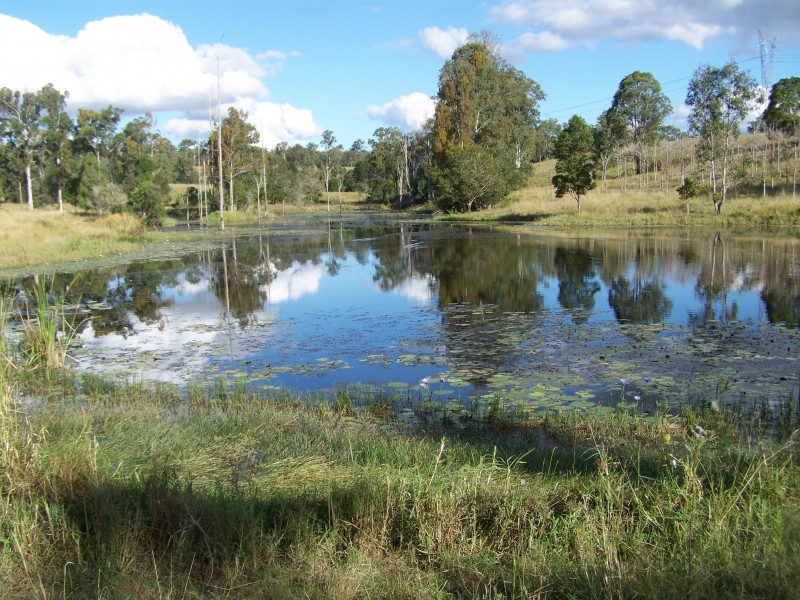 Mcintosh Creek QLD 4570