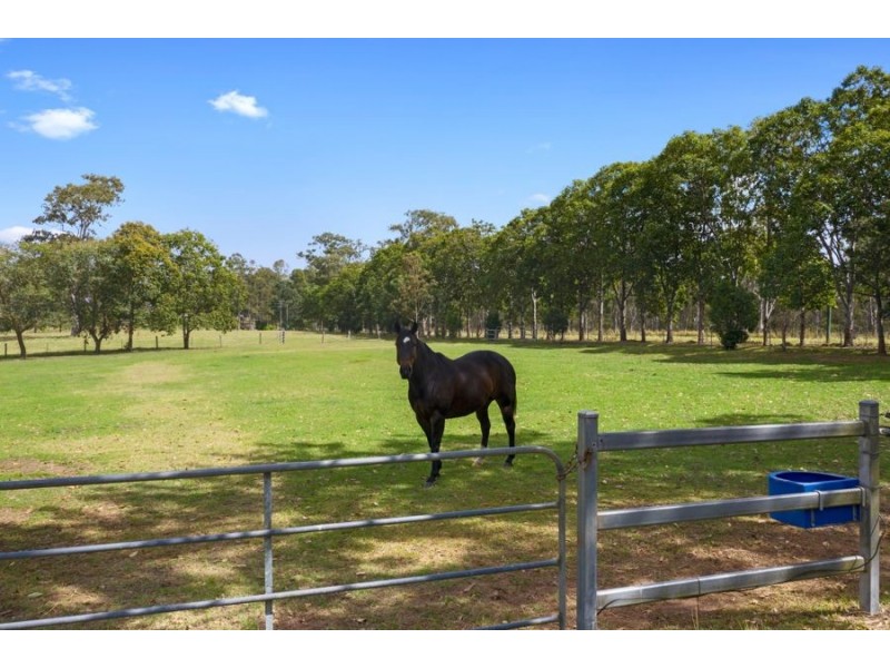 122 Shadbolt Road, Mothar Mountain QLD 4570