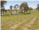 8 Leddy Court, Moffatdale QLD 4605