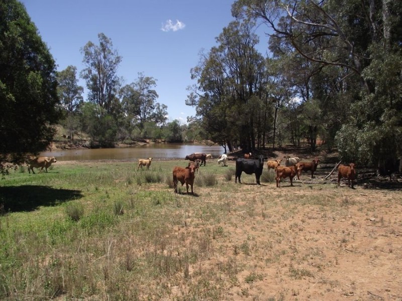 230 Louttits Road, Glenrock QLD 4605
