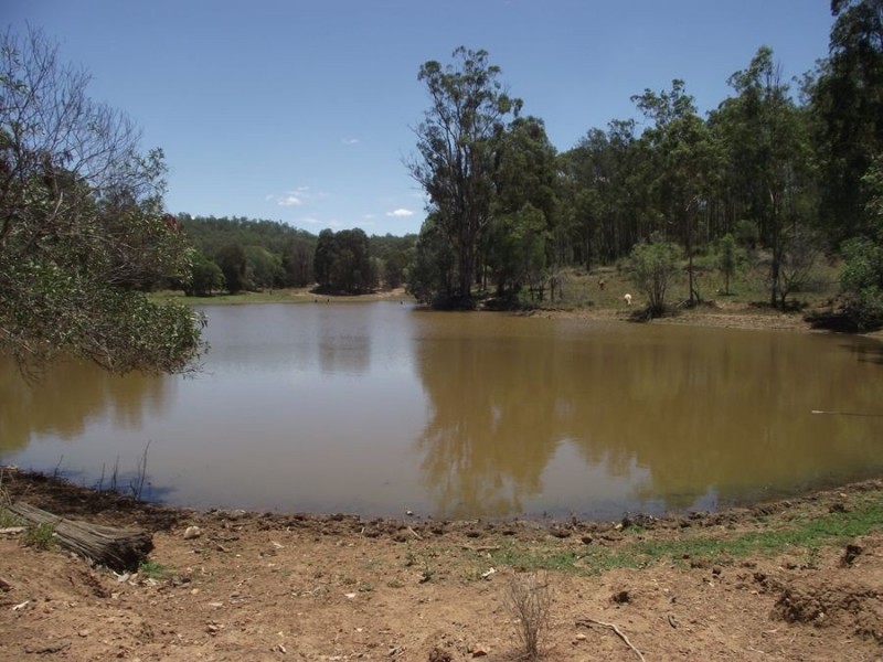 230 Louttits Road, Glenrock QLD 4605