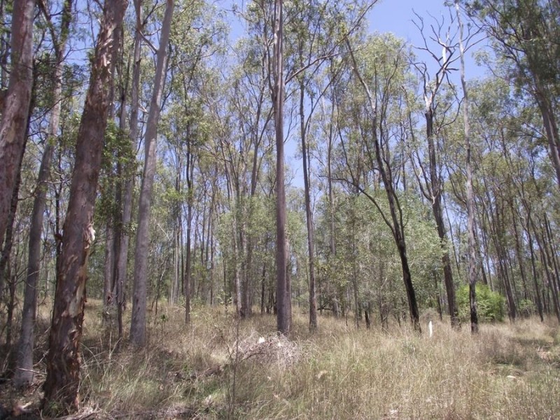 230 Louttits Road, Glenrock QLD 4605