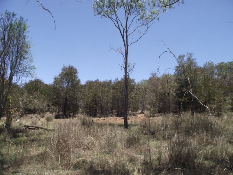 230 Louttits Road, Glenrock QLD 4605