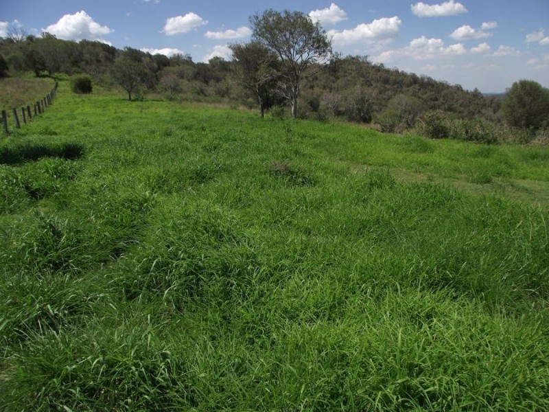 1372 Crownthorpe Road, Crownthorpe QLD 4605