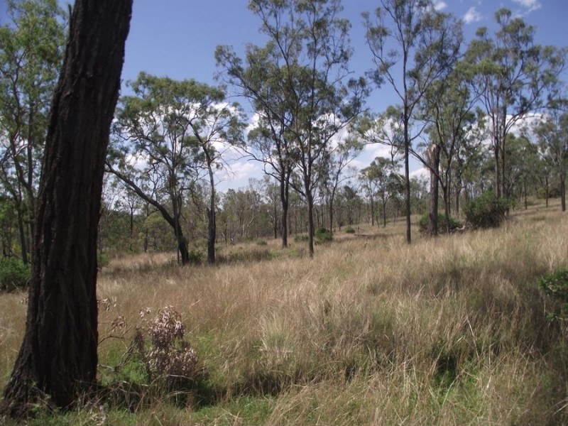 1372 Crownthorpe Road, Crownthorpe QLD 4605