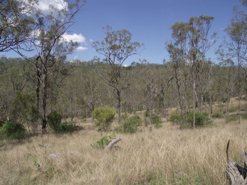 1372 Crownthorpe Road, Crownthorpe QLD 4605