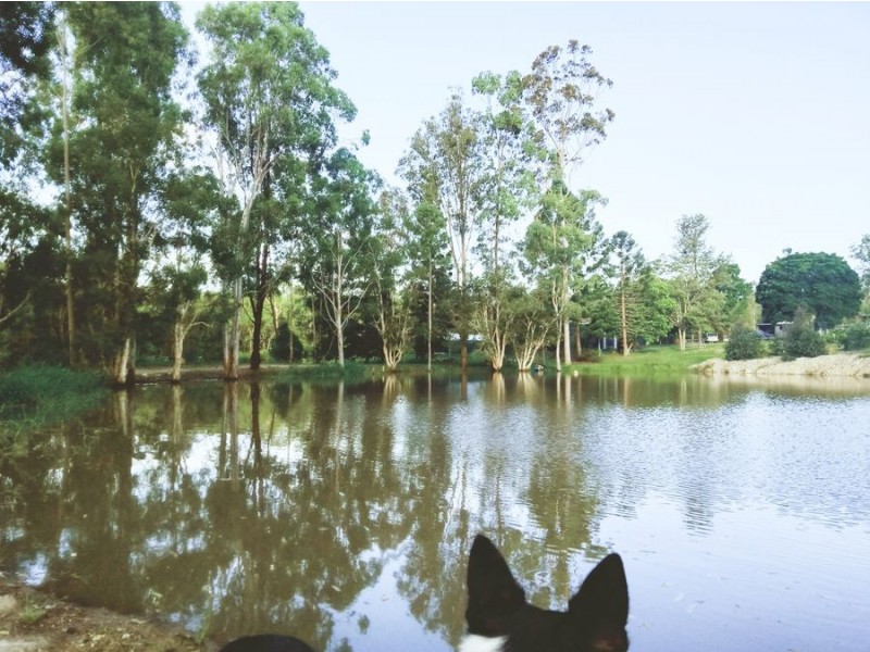 65 Stephans Road, Gunalda QLD 4570