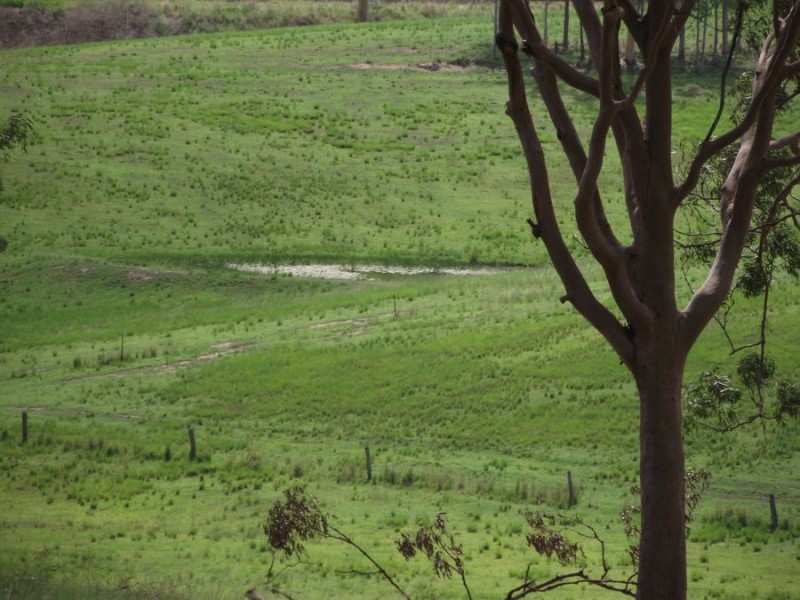 Old Maryborough Road, Corella QLD 4570