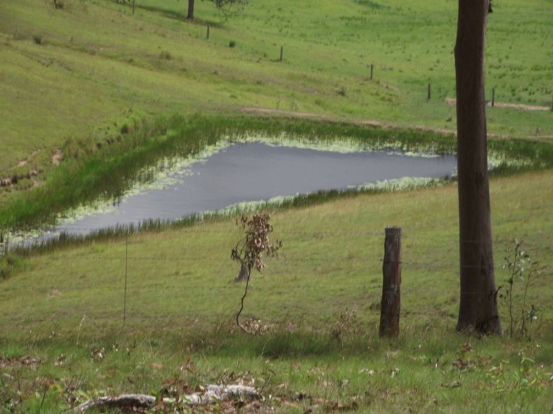 Old Maryborough Road, Corella QLD 4570