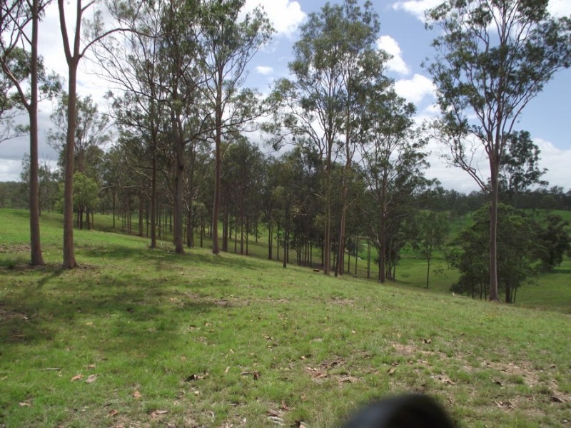 Old Maryborough Road, Corella QLD 4570