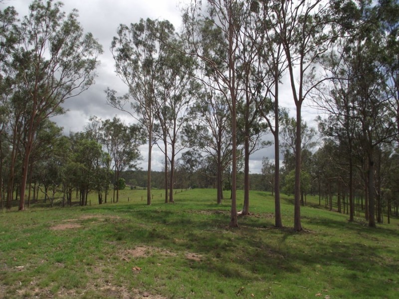 Old Maryborough Road, Corella QLD 4570