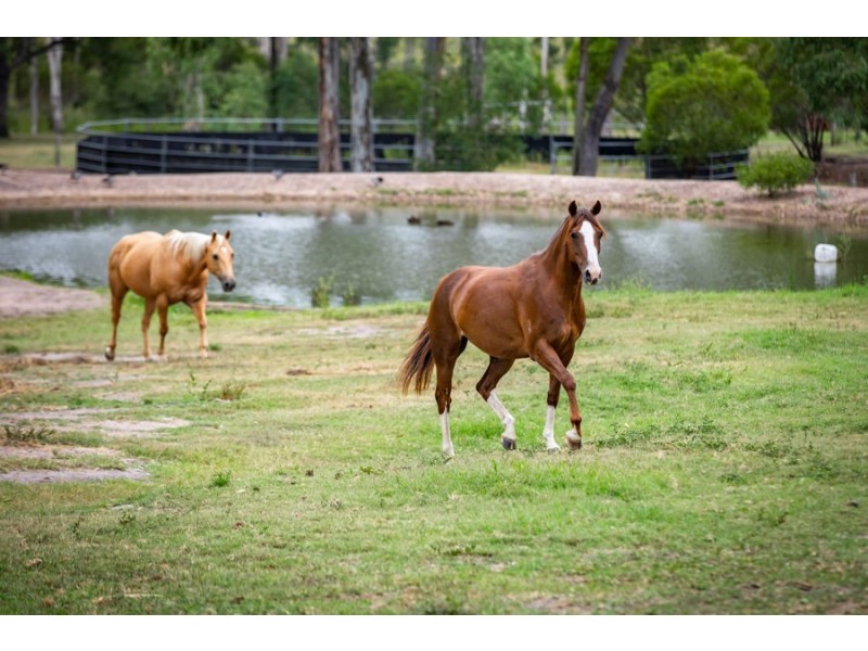 36 Sykes Road, Bells Bridge QLD 4570