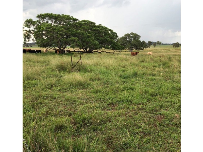 Lower Wonga QLD 4570