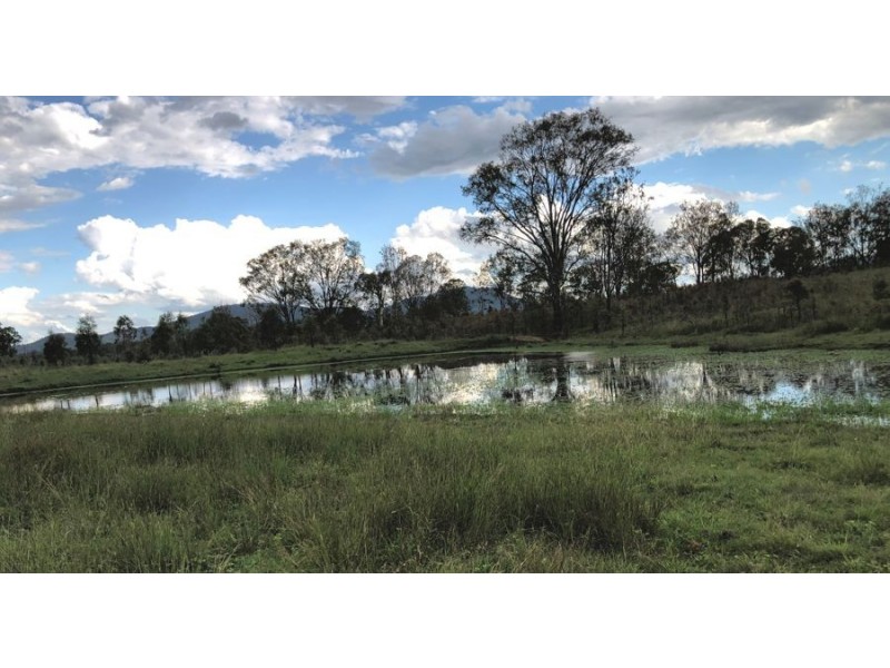 Lower Wonga QLD 4570