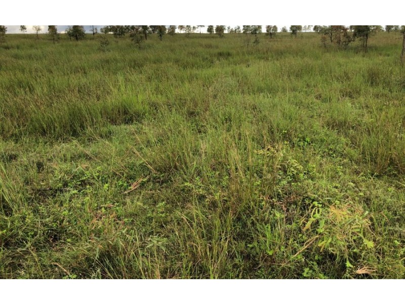 Lower Wonga QLD 4570