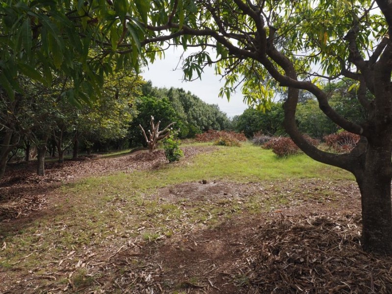 33 Sykes Road, Glenwood QLD 4570