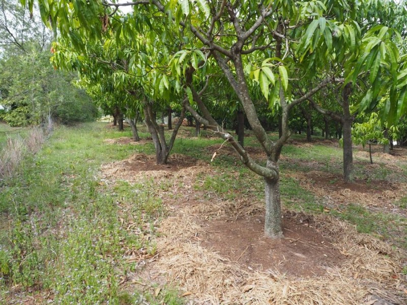 33 Sykes Road, Glenwood QLD 4570