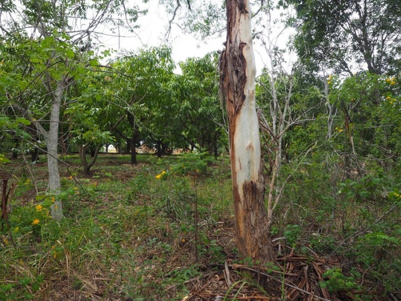 33 Sykes Road, Glenwood QLD 4570