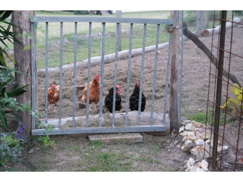 17 Hidden Place, Curra QLD 4570