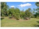 99 Long Road, Pie Creek QLD 4570