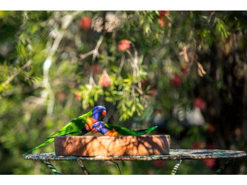 Glastonbury QLD 4570