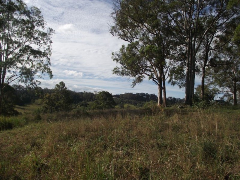453 Old Goomboorian Road, Veteran QLD 4570