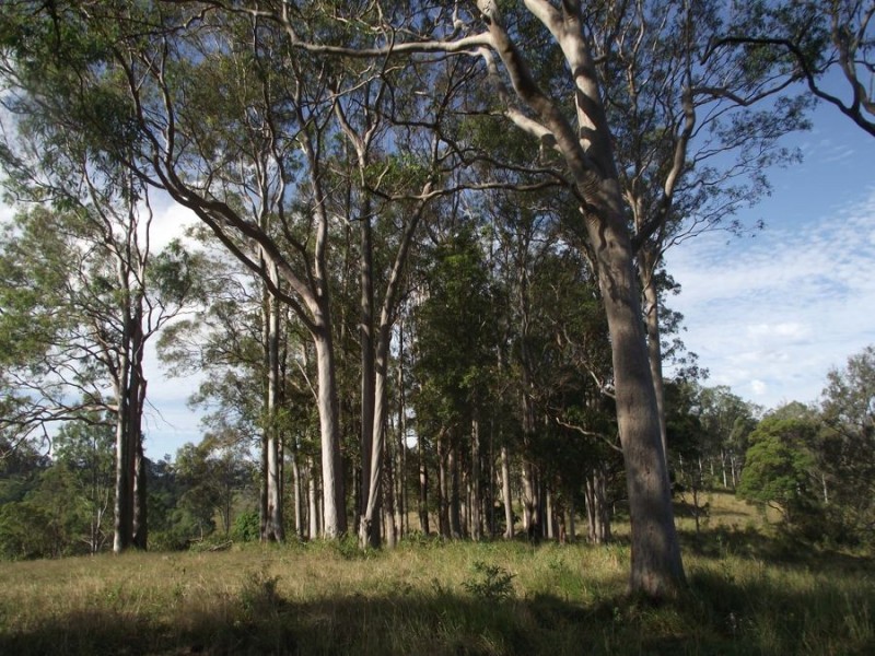 453 Old Goomboorian Road, Veteran QLD 4570